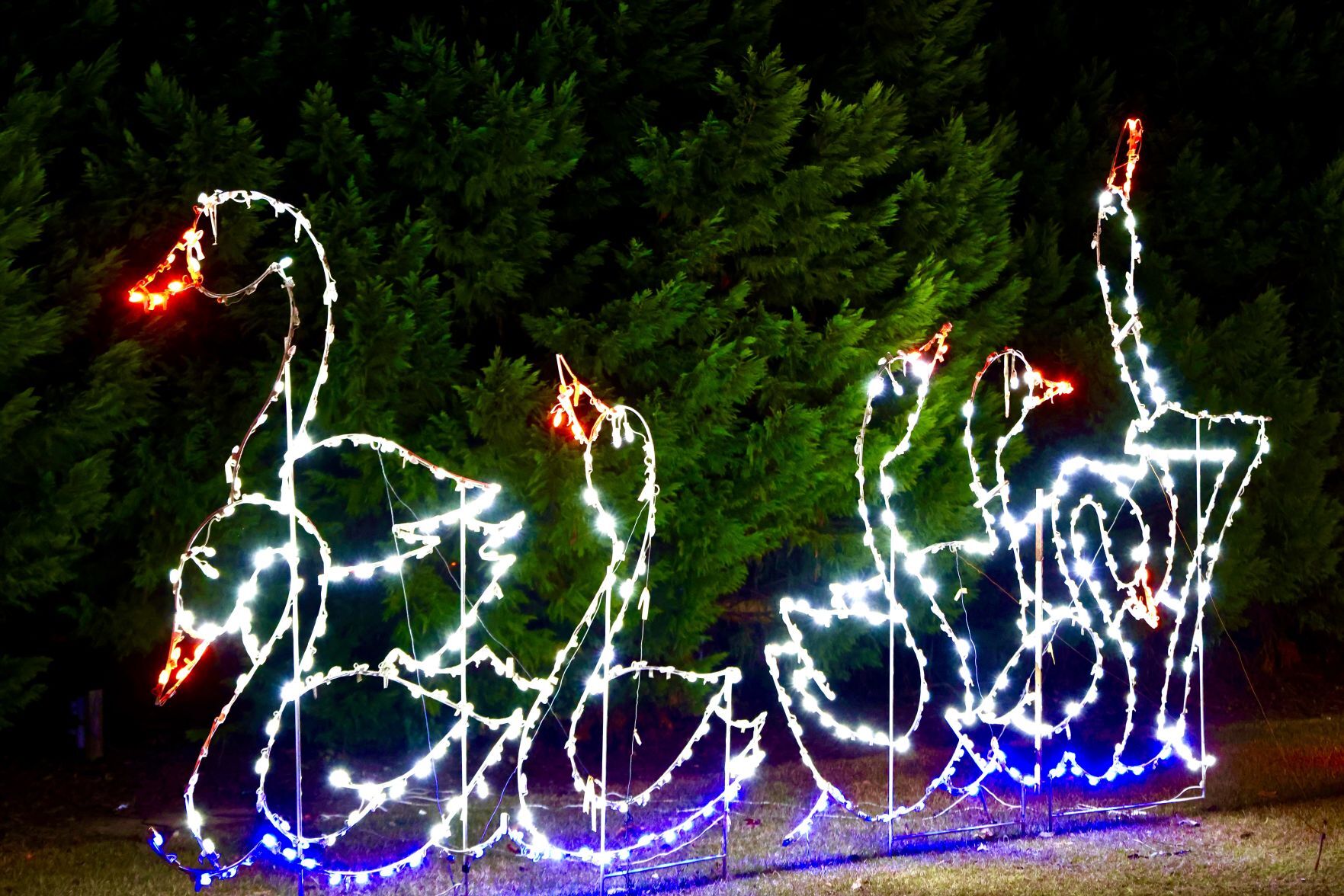 Orangeburg Christmas Lights